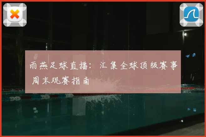 雨燕足球直播:汇集全球顶级赛事 周末观赛指南