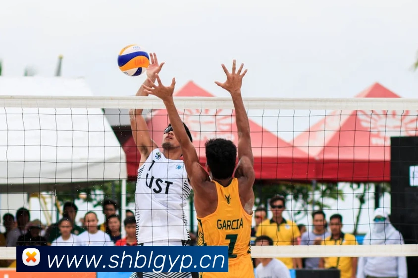 九游j9官网首页入口APP 体育赛事宣传图